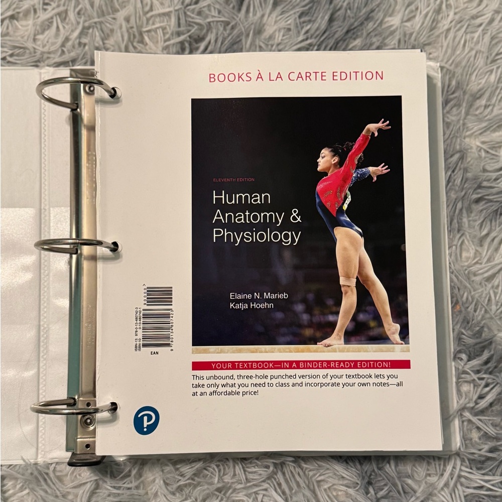 Human Anatomy & Physiology 11th Ed | Marieb & Hoehn | Binder-Ready